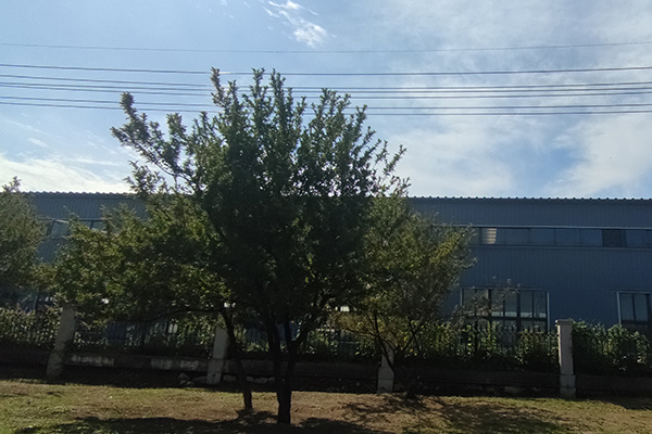 對(duì)于撫順鐵嶺沈陽彩鋼廠房的加工質(zhì)量檢測(cè)至關(guān)重要 對(duì)于撫順鐵嶺沈陽彩鋼廠房的加工質(zhì)量檢測(cè)至關(guān)重要